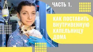 Как поставить внутривенную капельницу дома
