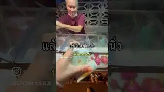 #bangkokthailand #bangkoktravelguide #thailand #bangkok #food #bangkokfoodtours #thailandtravel