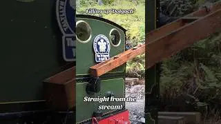 Watering No.2 ‘Dolgoch’ at Ty Dŵr - straight from the stream! #railway #steam #Wales #SteamTrain