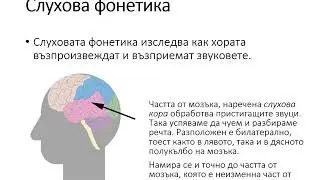 Фонология   BG
