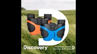 Binocoli Levenhuk Discovery Basics – Rassegna video