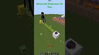 Minecraft Enderman IQ Test 😂 