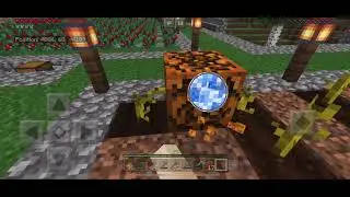 A Day In a Life Of The Entity 606 in Minecraft