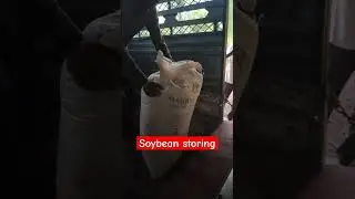 store #farm #farming #farmer #farmlife #soybean #soybinrate #soybeans #warehouse #store