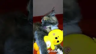 Надо всегда быть чистенькой и опрятной!!!