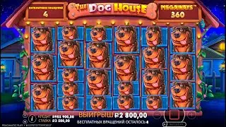 ЗАКРЫЛ ВСЮ ПОЛЯНУ🔥 КУЧА ВИЛДОВ В DOG HOUSE MEGAWAYS, ЗАНЕС Х***!? заносы недели \ dog house