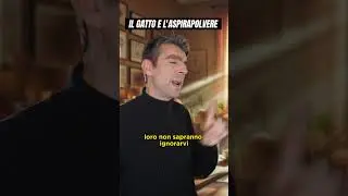 Il gatto e l’ aspirapolvere #cat #catlover #gatto #humor #fun #comedy #cabaret #risate