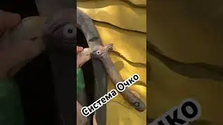 Детская мечта Дом на деревьях и Туалет системы Очко