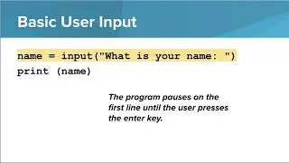 Python- User Input