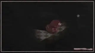 stamina + camera update