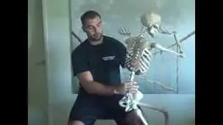 Squat Biomechanics and 