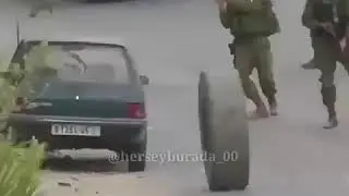 Zapallar