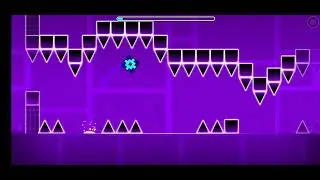 Jumper 100%
