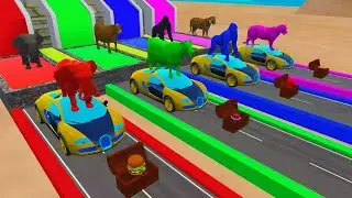 Animal Game Challenge | Gorilla Elephant Tiger Cow | Fountain Crossing Animal Transformation
