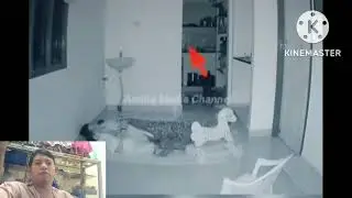 hantu gk ada akhlak