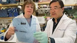 AACR Cancer Progress Report 2016