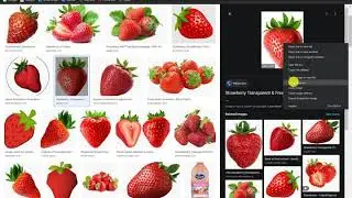 Google Image Search