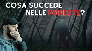 3 SPARIZIONI INCREDIBILMENTE MISTERIOSE