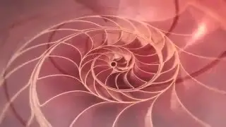 Золотое сечение и числo Фибоначчи