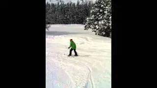 アロハンスキーデビュー