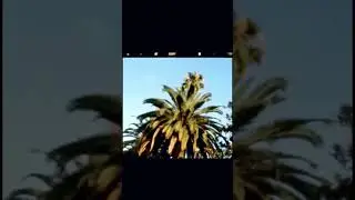 @raaemcee  has been consistent all year with his latest single “8PM In Malibu”