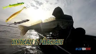 pêche verticale et pélagique sur le lac de Cazaux Sanguinet