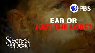 Did Vincent Van Gogh really cut off his whole ear?