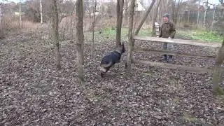 Безопорный прыжок. Даня