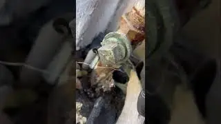 Instalación de Tuerca  Unión y Válvula de Paso en Tubería de PPR #edgarelectricoplomero 4K