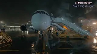 Night Flght Light