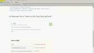 How to use Blog Comments to Drive Traffic - Easy Websites with Wordpress