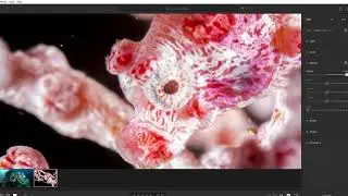 Post-Processing for Beginners: Working with RAW Files (4/6)