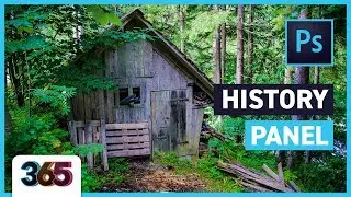 🖌 History Panel | Photoshop CC Tutorial 