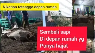 Hajatan depan rumahku, mau mantu😄😄😄 sembelih sapi dulu