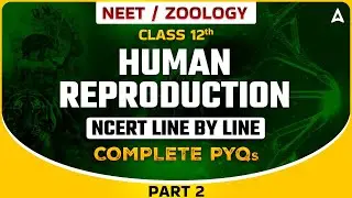 HUMAN REPRODUCTION CLASS 12 | NEET 2024 | NCERT LINE BY LINE WITH COMPLETE PYQs | ZOOLOGY BY SANKALP