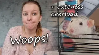 I made one mistake...