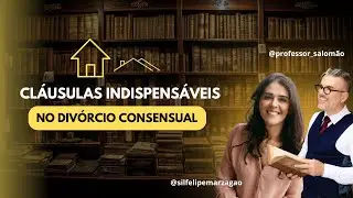 🔴 Cláusulas Indispensáveis no DIVÓRCIO CONSENSUAL - Com Silvia Felipe Marzagão
