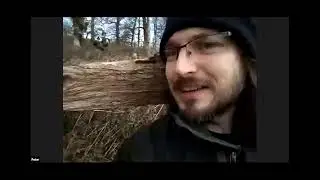 Woodland ecology from Tir Coed