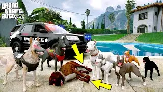 PITBULL FAMILY HANDED OVER ROTTWEILER KILLER ECEL TO THE POLICE! - GTA 5