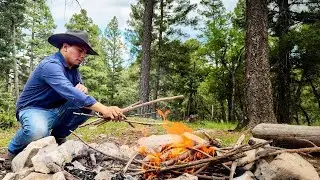 Camping Alone In The Forest
