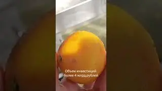 Самый большой завод по производству соков строят в Красноярском крае #shorts #инвестиции #стройка