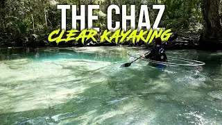 The 
