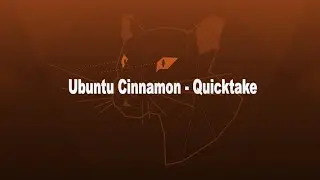 Ubuntu Cinnamon 20.04 - Quick Take