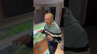 Тупо лучший ! #zubaref #зубарев #zubarefff #sort #кот #квартира #переезд