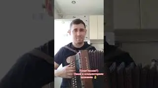 песни под гармонь чайка2  подбираю на слух