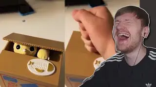 Hypnocorn REACTS To Unusual Memes that will make you laugh