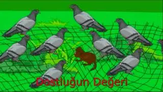 8.Sınıf Türkçe Dersi, 