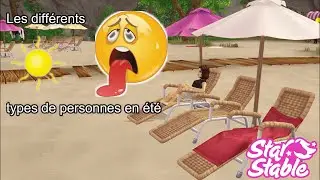 Les différents types de personnes en été // Star Stable