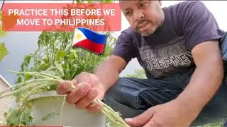 I'm practicing this before we move to PHILIPPINES 🇵🇭 VLOG 83. #philippines #GARDENING #LIFESTYLE