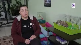 Как восстанавливают тех, кто не может справиться с привычкой сам?